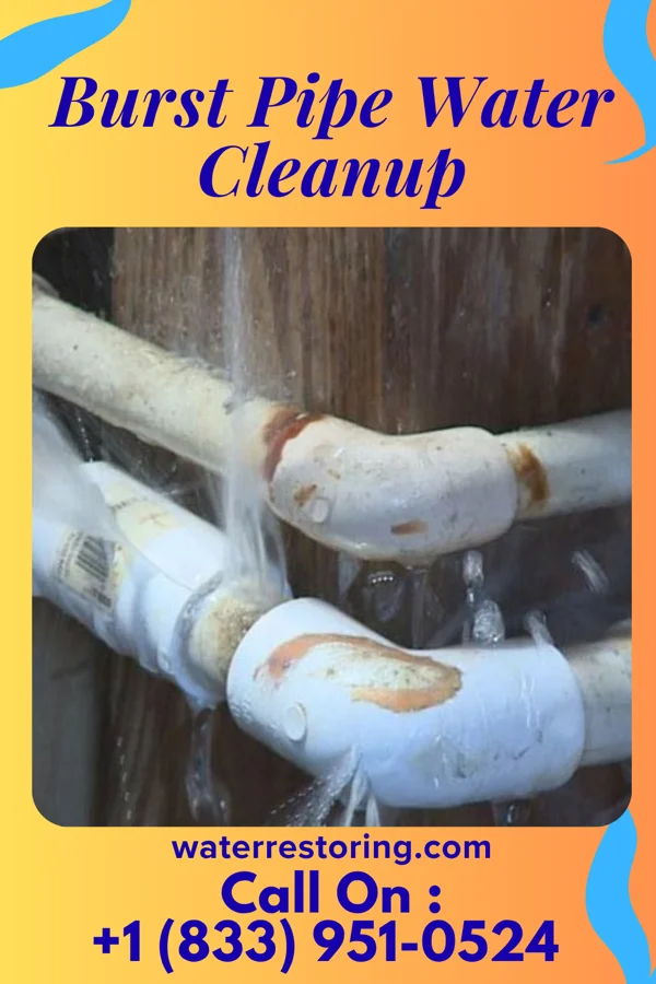Burst Pipe Water Cleanup in Lamar, OK