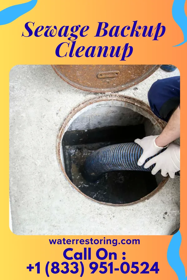 Sewage Backup Cleanup in Lamar, OK